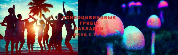 гидра Арсеньев