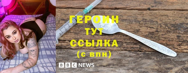 индика Елизово