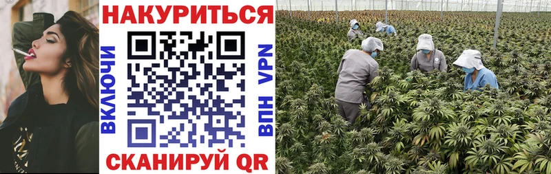 купить закладку Могоча Канабис сатива